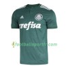 Tenue Palmeiras Domicile 2018-2019 Maillot de Foot